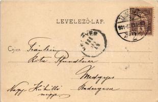 1901 Temesvár, Timisoara; Erdélyi laktanya kapuja. Polatsek-féle kiadása / entry gate of the Transyl...