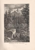Az Osztrák-Magyar Monarchia írásban és képben. Bevezető kötet.
Budapest, 1887. Magyar Királyi Állam...