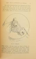 Berthold Schoenbeck: Die Stalluntugenden des Pferdes. Ein Hilfsmittel, wie man ihnen begegnet. Für b...