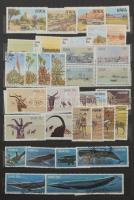 Afrika vegyes sorok, darabok 10 lapos közepes berakóban