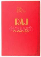 Kitöltetlen Rajnapló, kopással.