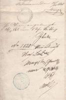 1868 Mosony vármegye, Tolonczlevél, bejegyzésekkel