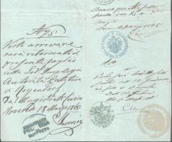 1863-1865 Útlevél (Schub-Paß / Tolonczlevél) részlet sok bejegyzéssel