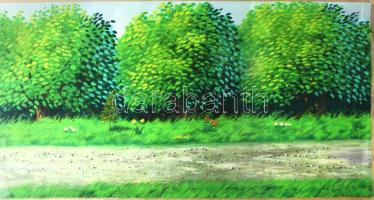 Asterix, Obelix, Ideafix, Caius Iulius Caesar és más szereplők az Asterix rajzfilm egyik jelenetének...