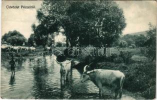 1916 Pécel, Péczel; gulya itatása, magyar folklór. Divald Károly 1627-1907. (EK)