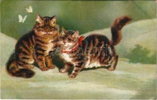 Cats. Wenau-Delila No. 937. (fl)