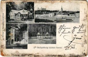 1902 Pozsony, Pressburg, Bratislava; II. Mezőgazdasági Országos Kiállítás. Frigyes főherceg, Alfa Separator és Hattyú pavilon. Duschinsky 5411. / 2nd National Agricultural Exhibition, pavilions (fa)