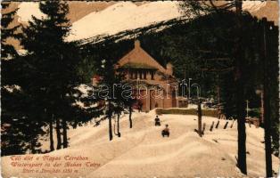 1916 Tátra, Magas-Tátra, Vysoké Tatry; Téli élet a Magas Tátrában, start a Tarajkán, szánkózás, téli sport / Wintersport in der Hohen Tatra / winter sport, sled + "Vörös Kereszt Hadikórház Tátraszéplak" + "Katona ápolási ügy" (ázott / wet damage)