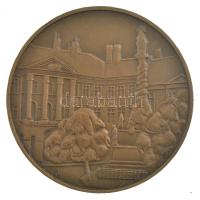Bogár Lívia (1957-) 1984. "1869 - Soproni Városszépítő Egyesület" bronz emlékérem (50mm) T...