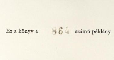 Képes Krónika. (Chronicon Pictum) I-II. kötet. I. köt.: Az Országos Széchenyi Könyvtárban őrzött kód...