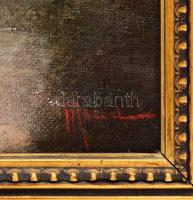 Olvashatatlan jelzéssel: Lány az erdőben. Olaj, vászon. Dekoratív, kissé sérült fakeretben. 63,5x31,...