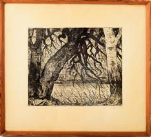id. Imre István (1918-1983): Vízparti táj. Rézkarc, papír, jelzett, 25×29,5 cm, üvegezett fakeretben, hátoldali üveg kissé sérült.