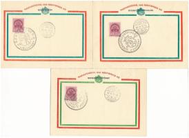 Erdélyi bevonulás - 11 db RÉGI erdélyi visszatérés emléklap visszatért bélyegzővel, mind különböző városból, szép állapotban. "Kelet és Székelyföld újból magyar, örömteljes megemlékezésül" Kiadja a 373. sz. MOVE Szent István cserkészcsapat (Szombathely) / Entry of the Hungarian troops to Transylvania - 11 pre-1945 memorial cards with memorial cancellations, all from different cities