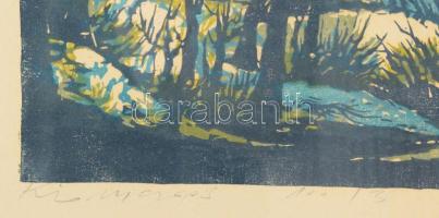 Török Endre (1926-1980): Kismaros. Színes linómetszet, papír, jelzett, számozott (100/3), üvegezett ...