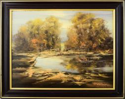 Bubelényi László (1953-2018): Vízparti táj. Olaj, farost, jelzett. Dekoratív fakeretben. 50x60 cm