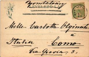 Tátraszéplak, Tatranska Polianka, Westerheim (Magas Tátra, Vysoké Tatry); Feitzinger Ede 16 bt. (EK)