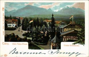 1903 Alsótátrafüred, Unter-Schmecks, Dolny Smokovec (Magas-Tátra, Vysoké Tatry); Feitzinger Ede 1902/12. / spa (EK)