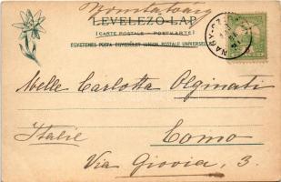 1903 Alsótátrafüred, Unter-Schmecks, Dolny Smokovec (Magas-Tátra, Vysoké Tatry); Feitzinger Ede 1902...