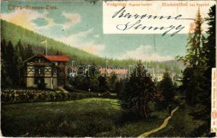 1903 Tátra, Tatry; Rózsavölgy (Virágvölgy), Blumental, Kvetnica; Feitzinger Ede 461. (EB)