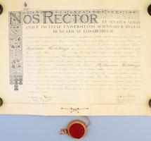 1941 Magyar Királyi Erzsébet Tudományegyetem jogi diploma pergamen, függő viasz pecséten kis repedéssel, sérült tokkal