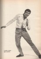 Szécsi Katalin: 
Palika. (Dedikált.)
(Budapest, 2001). Greger-Delacroix Kiadó (Reálszisztéma Dabas...