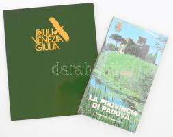 Camillo Semenzato: La Provincia di Padova. La natura,l'arte e la cultura du una terra antica. Padova, 1987, Editoriale Programma, 128 p. Nagyméretű térkép-melléklettel: Carta Temetica della Provincia di Padova. Olasz nyelven. Gazdag képanyaggal illusztrált. Kiadói papírkötés. + Friuli, Venezia, Giulia. Trieste, 1985., La Editoriale Libraria, 86+5 p. Olasz nyelven. Gazdag képanyaggal illusztrált. Kiadói papírkötés.
