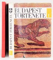 2 db könyv - Gerevich László (szerk.): Budapest története az őskortól az Árpád-kor végéig. 1973, Budapest Főváros Tanácsa. Kiadói egészvászon kötés, sérült papír védőborítóval + Pest megye képekben 1945-1970. Bp., 1970. Kiadói egészvászon kötés, kopottas állapotban.