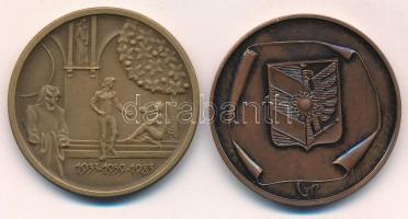 Fritz Mihály (1947-) 1983. "Szegedi Szabadtéri Játékok" kétoldalas bronz emlékérem (42,5mm...