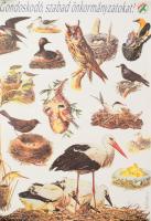 cca 1990 "Gondoskodó, szabad önkormányzatokat!", SZDSZ választási plakát, feltekerve, szakadással, 98x68 cm