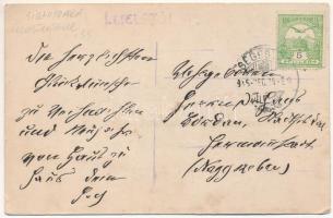 1915 Segesvár, Schässburg, Sighisoara; vár / castle (apró szakadás / small tear)