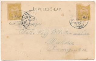 1901 Sepsiszentgyörgy, Sfantu Gheorghe; Városháza, Deák, Bikfalvi, Barabás Jenő, Nagy Elek üzlete, d...