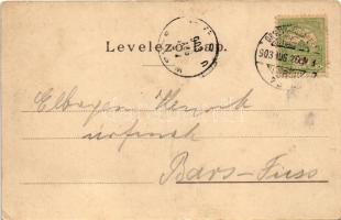 1903 Temesvár, Timisoara; Jenő herceg tér, Rukavina emlékmű (szégyenszobor). Káldor Zs. és Társa kia...