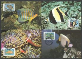 Maldív-szigetek 1986 (4 db)