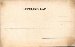 Szilágy vármegye térképe. Károlyi Gy. kiadása / Comitatul Salaj / Map of Szilágy County (r)