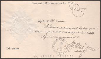 1917 A M. Kir. Igazságügyminiszter által kiállított bírói kinevező okmány Vázsonyi Vilmos igazságügy...