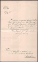 1906 Feilitzsch Artúr (1859-1925) földművelésügyi miniszter (1905-1906) aláírásával, ellátott kinevezési okmány.