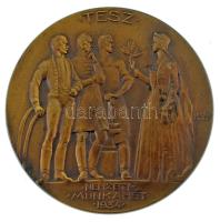Berán Lajos (1882-1943) 1933. "TESZ (Társadalmi Egyesületek Szövetsége) - Nemzeti Munkahét" kétoldalas, bronz emlékérem (60mm) T:AU, patina TP 232.