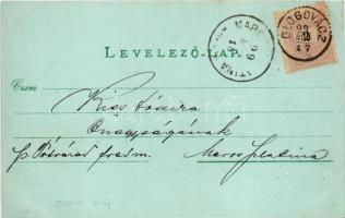 1899 (Vorläufer!) Arad, Andrássy tér este holdfényben, üzletek / square at night in moonlight, shops