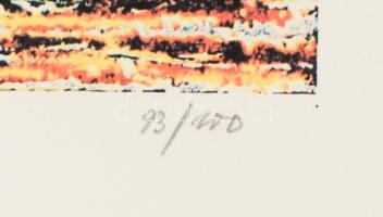 Joseph Kádár (1936-2019): Horizontális struktúra, 1988-93. Elektrográfia, papír, jelzett. 93/100 szá...