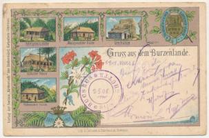 1901 Barcaság, Burzenland, Tara Barsei; Gruss aus dem Burzenlande. Königstein Hütte, Malajeschter Hütte, Omhütte, Schulerhaus, Hohenstein Hütte. Verlag der Section "Kronstadt" des Siebenbürgischer Karpathen-Vereins / turistaházak, menedékházak a Barcaságban / rest houses, tourist houses in Tara Barsei. Lith. G. Lehmann &amp; Sohn Heinrich (Kronstadt) Art Nouveau, floral, litho with coat of arms + "BUCSECS SCHUTZHÜTTE" (EB)