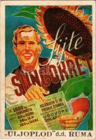 Suncokret, Uljopod Ruma / horvát nyelvű napraforgómag reklámlap / Croatian sunflower seeds advertisement card (EK)