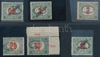 Debrecen I. 1919 6 db Portó bélyeg Bodor vizsgálójellel (20f hajtott / folded)