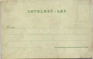 Léva, Levice; Báti út, Főgimnázium, Takarékpénztár, Hitelintézet, kórház, Nyitrai és Társa könyv- és...