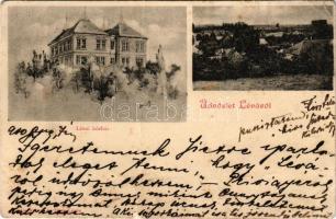 1900 Léva, Levice; kórház, látkép. Nyitrai és Társa kiadása / hospital, general view (fa)