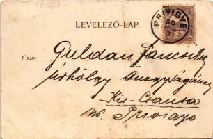 1900 Léva, Levice; kórház, látkép. Nyitrai és Társa kiadása / hospital, general view (fa)