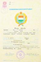 1955-1980 Szocreál oklevél tétel, 10 db, vegyes méretben és állapotban