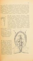 Zimmermann Ágoston - Zimmermann Gusztáv: Háziállatok anatómiájának kézi atlasza. Bp., 1942., (Cegléd...