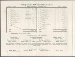 1910 A Temesmoraviczai Hitelszövetkezet mint az Országos Központi Hitelszövetkezet tagja zárszámadás...