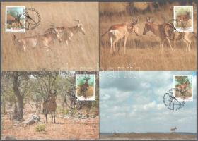 Mozambique 1991 (4 pcs), Mozambik 1991 (4 db)
