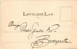 1901 Kolozsvár, Cluj; A vashíd környéke, gyógyszertár, Phönix, üzletek. Dunky Fivérek cs. és kir. ud...